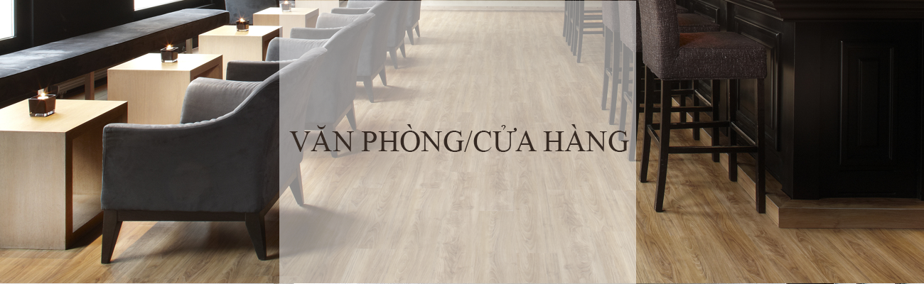 tangnao-chophongtoi