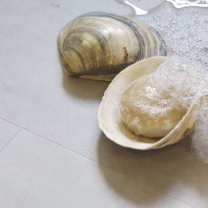 100% không thấm nước