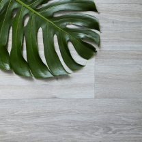 Natural wood & tile looks